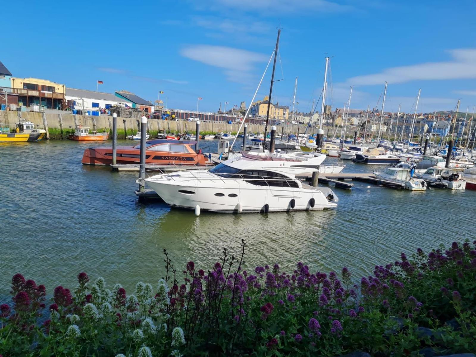 Spacious Luxury Escape With Sea Views And Pet Friendly At Clarach Bay Aberystwyth Esterno foto